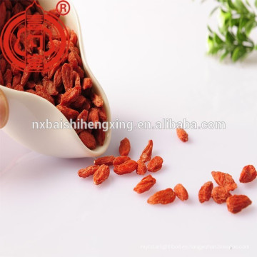 Bayas de Ningxia Goji Secado gou qi zi nutrición Fruto de níspero rojo Barbary wolfberry